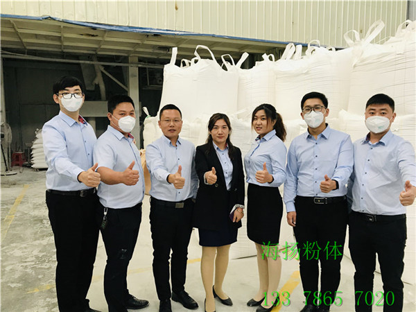 平湖高岭土多少钱一吨 粉体专家深圳海扬