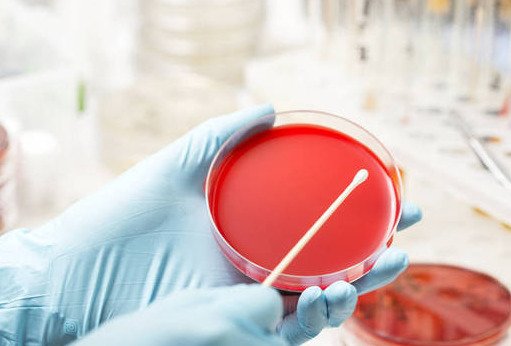 PVC必不可少的填料